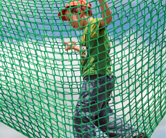 Safety Net