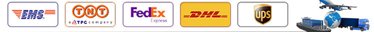 Shipping Logistics