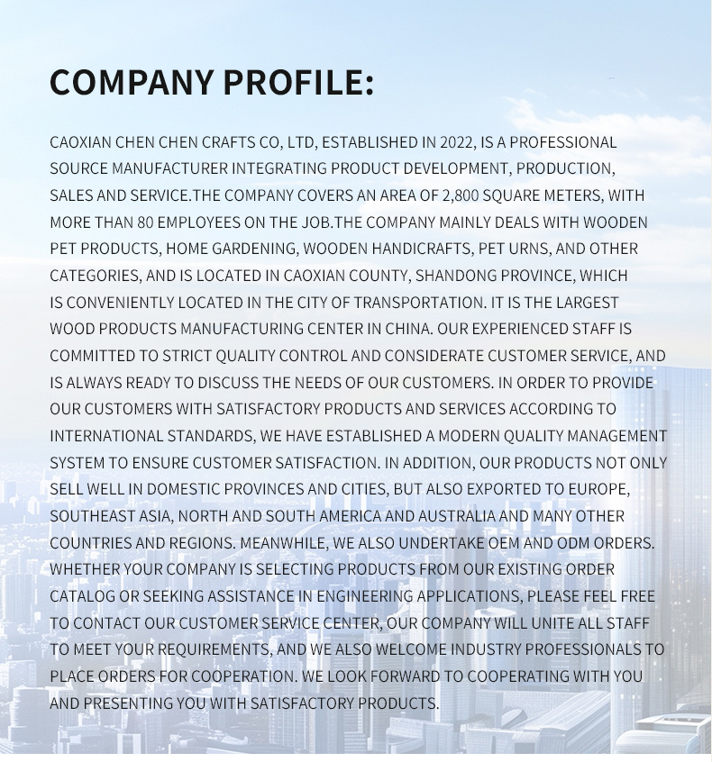 Company Showcase 2