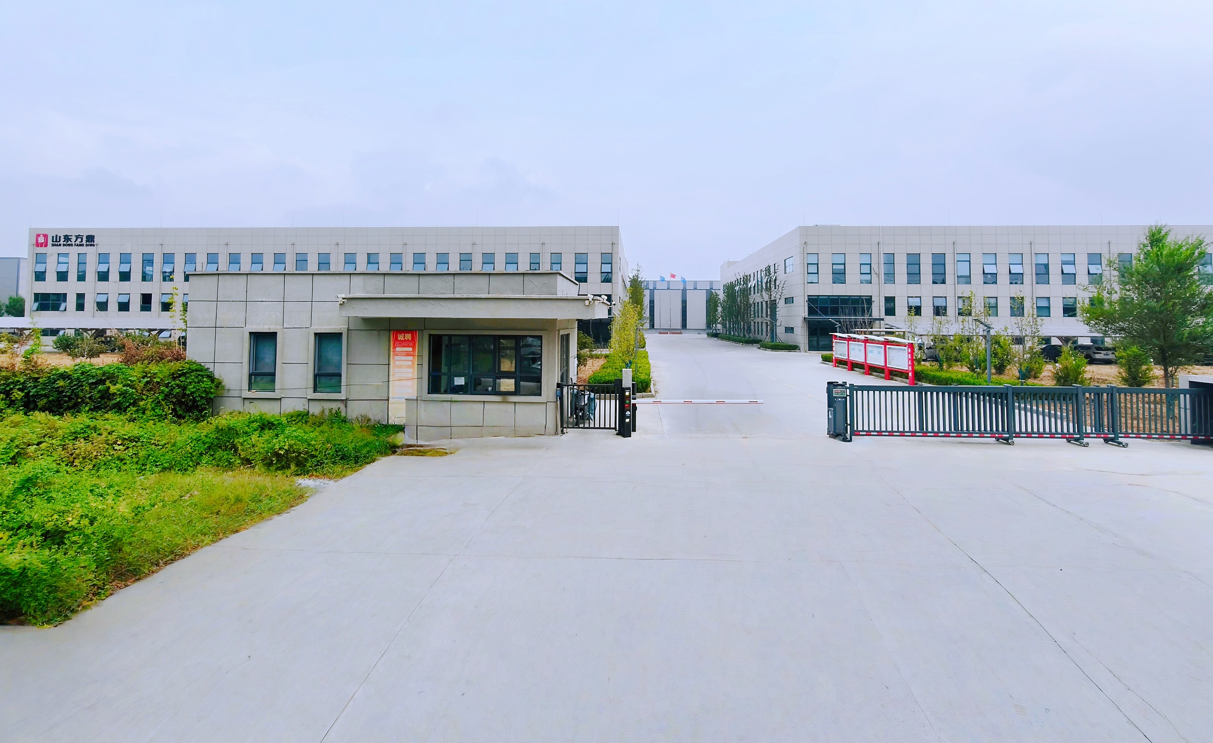 Company Overview