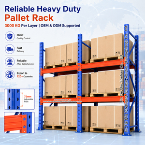 3000KG Heavy Duty Multi-Level Corrosion Protected Powder Coated Steel Pallet Rack Warehouse Storage Industrial Racking System