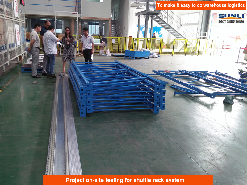 China Factory Remote Steel Multi-Layer Drive-Through Two-Way Shuttle Pallet Racking High-Density Warehouse Storage Automatic