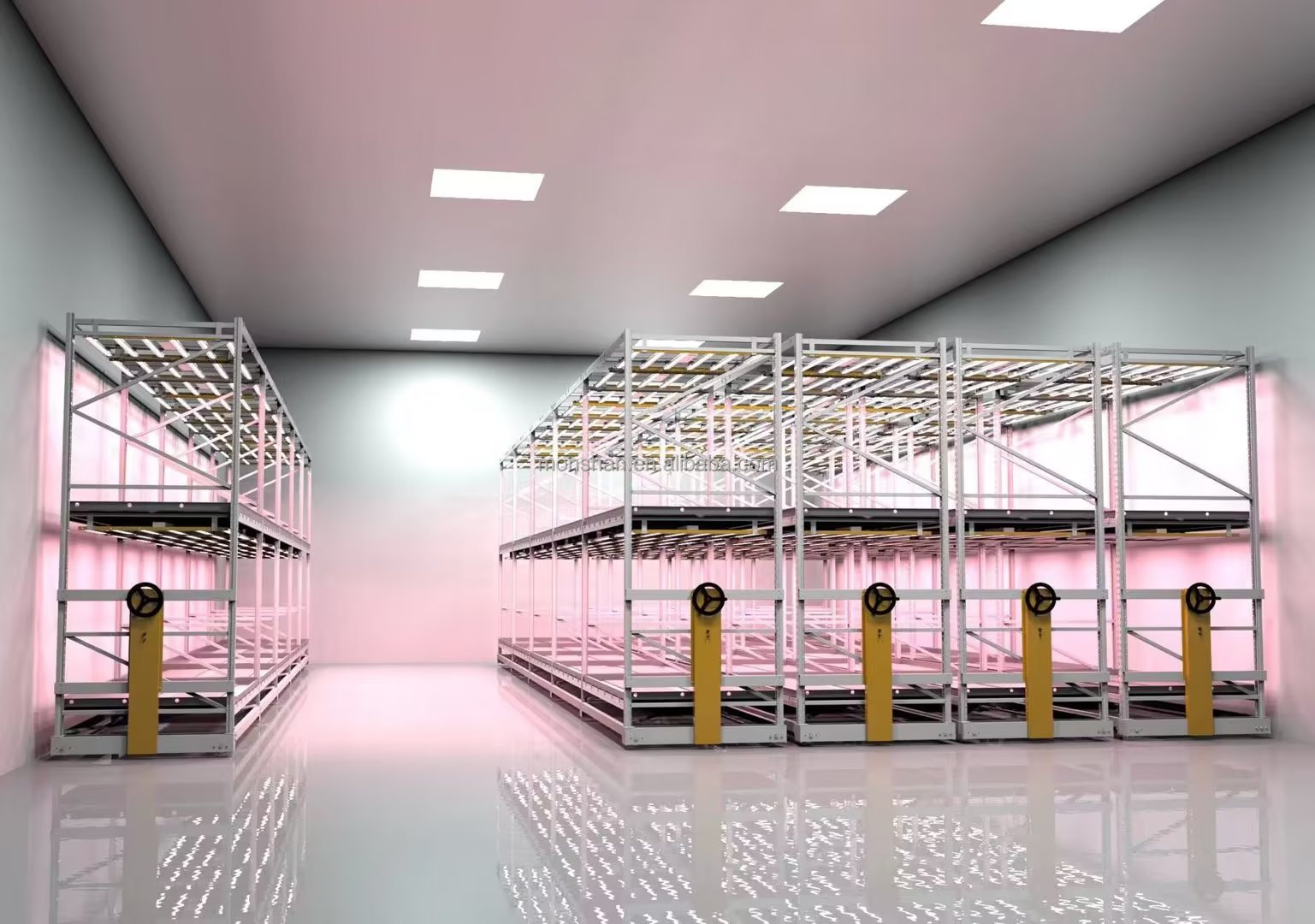 Commercial greenhouse cultivation
