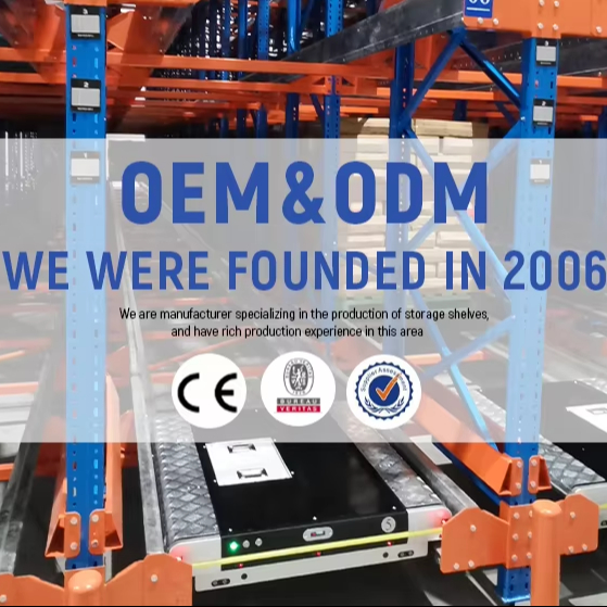 China Automatic Shuttle Rack Manufacturer Factory Warehouse Shuttle System Shelves Storage Racks for FIFO System