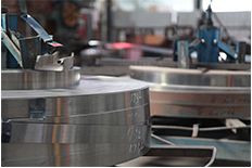 Raw material plate
