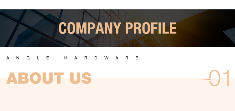 Company Profile