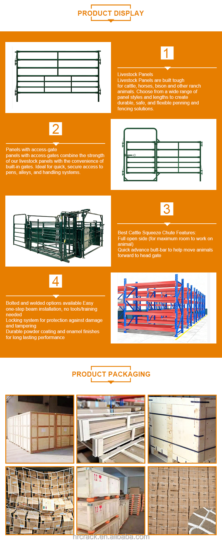 Company Profile View 2