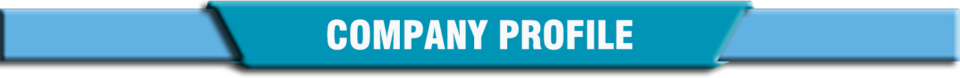 Company Profile 1