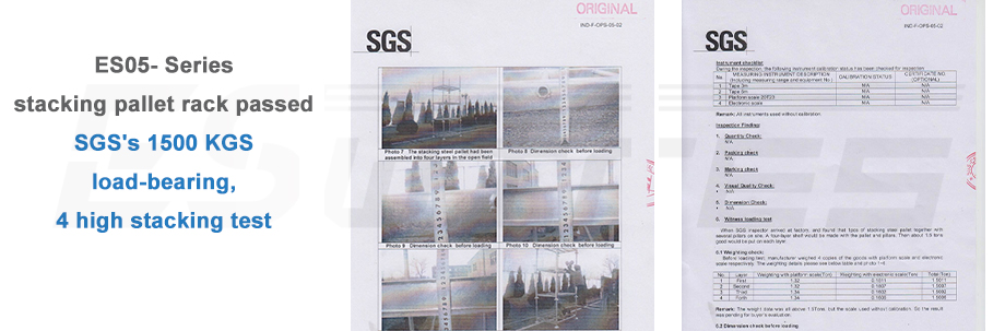 SGS Report